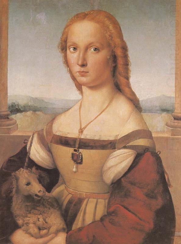 RAFFAELLO Sanzio Portrait of younger woman oil painting picture